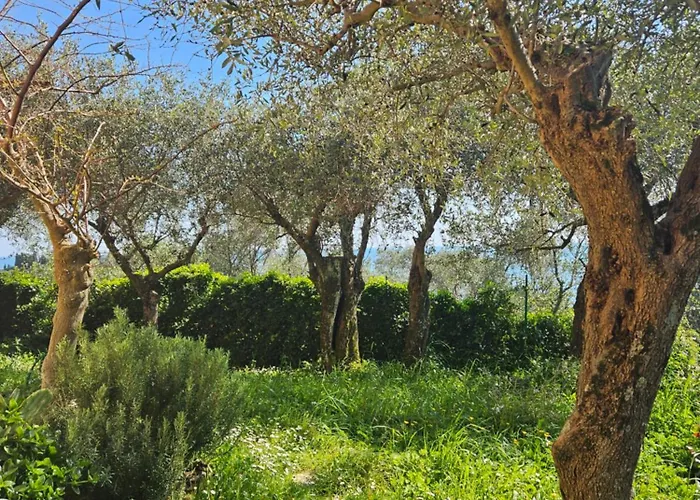 Degli Ulivi - Free Parking Lerici